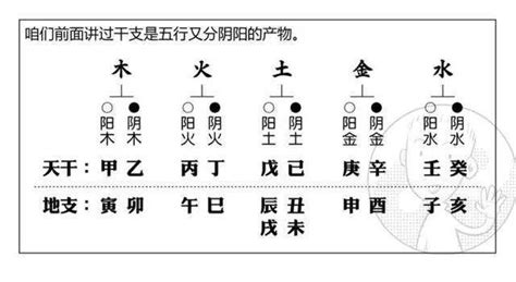 壬水乙木|通俗的讲讲十天干的喜忌之乙木